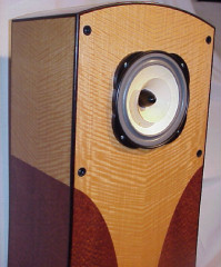 diy 8 inch speaker project